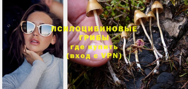 тгк Вяземский
