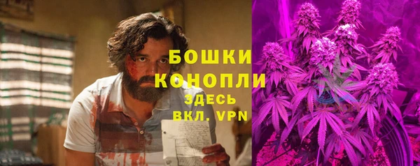 тгк Вяземский