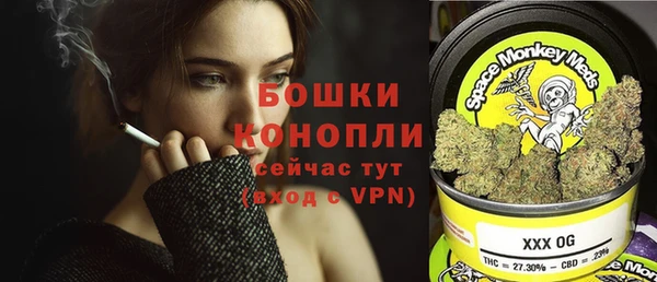 тгк Вяземский